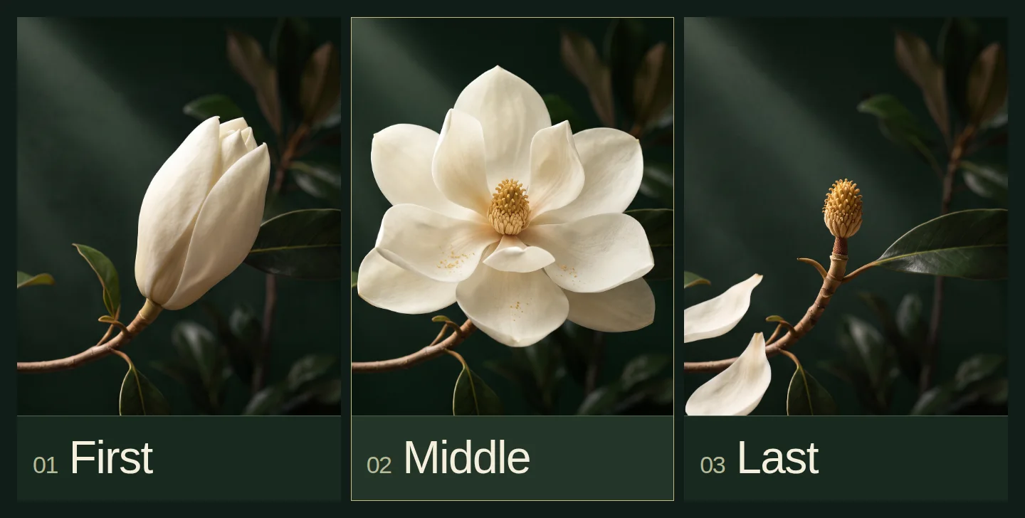 Three actual image anchors: a closed ivory magnolia bud, the open blossom, and its bare golden center with falling petals.