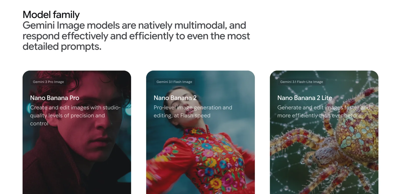 Google DeepMind's Gemini Image page showing three cards: Gemini 3 Pro Image labeled Nano Banana Pro, Gemini 3.1 Flash Image labeled Nano Banana 2, and Gemini 3.1 Flash-Lite Image labeled Nano Banana 2 Lite.